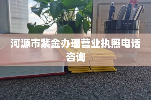 河源市紫金办理营业执照电话咨询
