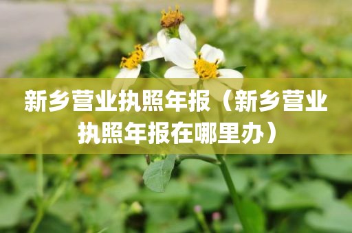 新乡营业执照年报（新乡营业执照年报在哪里办）