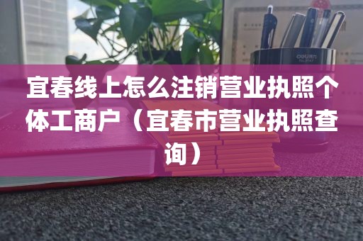 宜春线上怎么注销营业执照个体工商户（宜春市营业执照查询）