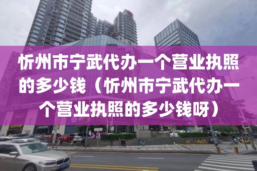 忻州市宁武代办一个营业执照的多少钱（忻州市宁武代办一个营业执照的多少钱呀）