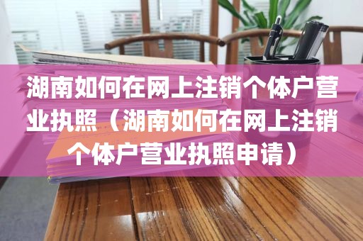 湖南如何在网上注销个体户营业执照(湖南如何在网上注销个体户营业执照申请)