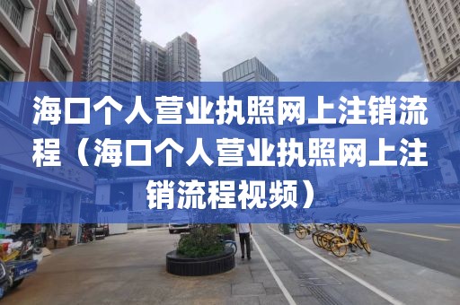 海口个人营业执照网上注销流程(海口个人营业执照网上注销流程视频)