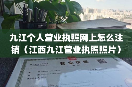 九江个人营业执照网上怎么注销(江西九江营业执照照片)