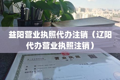益阳营业执照代办注销（辽阳代办营业执照注销）