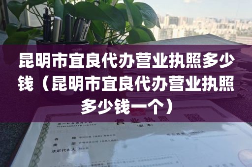 昆明市宜良代办营业执照多少钱(昆明市宜良代办营业执照多少钱一个)