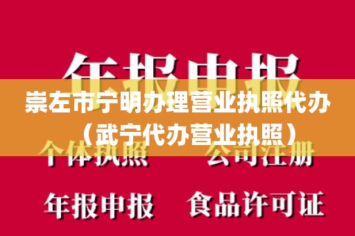 崇左市宁明办理营业执照代办(武宁代办营业执照)