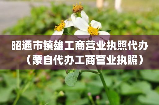 昭通市镇雄工商营业执照代办（蒙自代办工商营业执照）