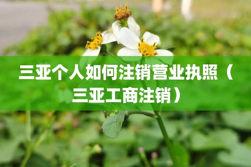 三亚个人如何注销营业执照（三亚工商注销）