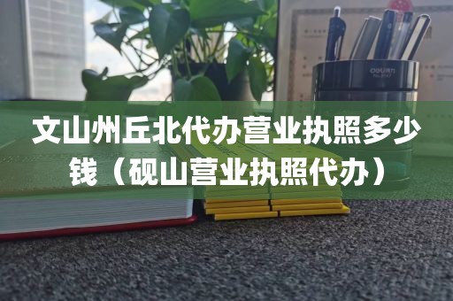 文山州丘北代办营业执照多少钱（砚山营业执照代办）