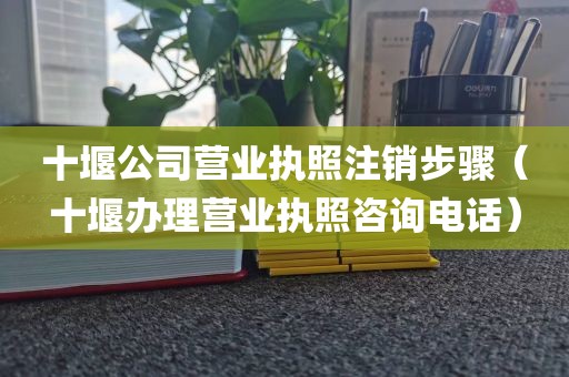 十堰公司营业执照注销步骤(十堰办理营业执照咨询电话)