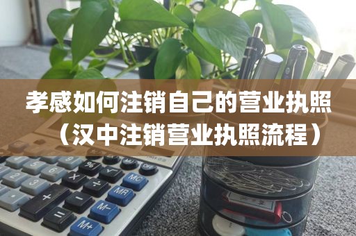 孝感如何注销自己的营业执照（汉中注销营业执照流程）