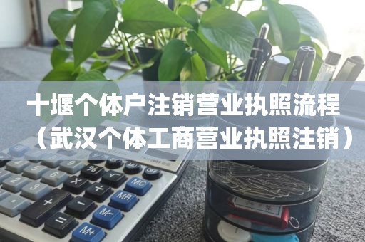 十堰个体户注销营业执照流程（武汉个体工商营业执照注销）