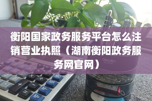 衡阳国家政务服务平台怎么注销营业执照（湖南衡阳政务服务网官网）