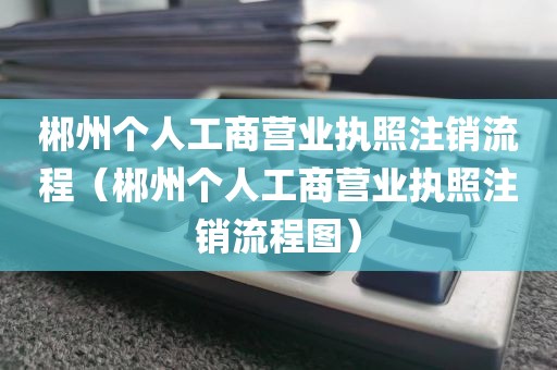 郴州个人工商营业执照注销流程（郴州个人工商营业执照注销流程图）