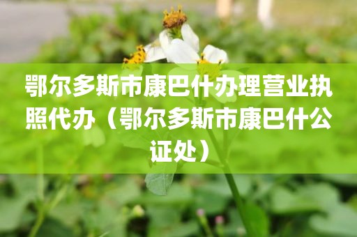 鄂尔多斯市康巴什办理营业执照代办（鄂尔多斯市康巴什公证处）