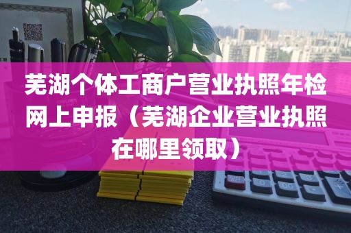 芜湖个体工商户营业执照年检网上申报（芜湖企业营业执照在哪里领取）