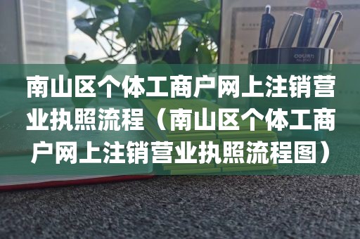 南山区个体工商户网上注销营业执照流程（南山区个体工商户网上注销营业执照流程图）