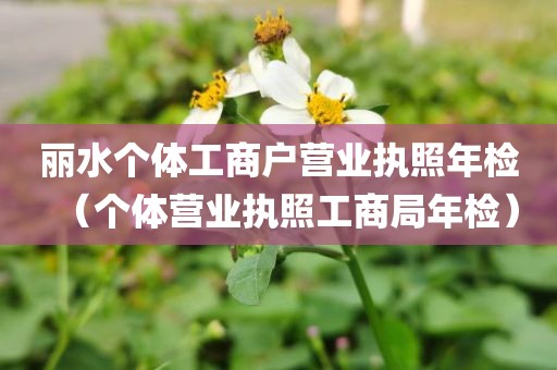 丽水个体工商户营业执照年检（个体营业执照工商局年检）