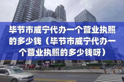 毕节市威宁代办一个营业执照的多少钱（毕节市威宁代办一个营业执照的多少钱呀）