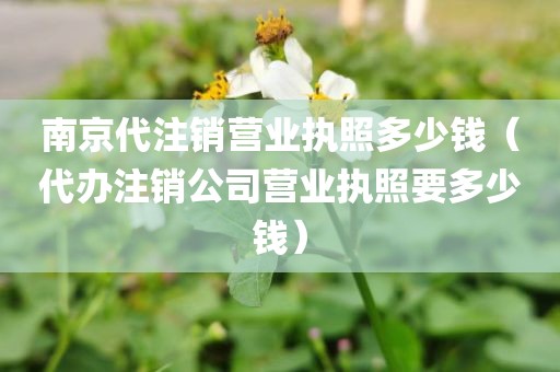 南京代注销营业执照多少钱（代办注销公司营业执照要多少钱）