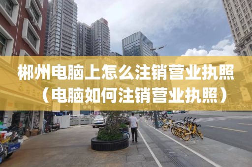 郴州电脑上怎么注销营业执照（电脑如何注销营业执照）