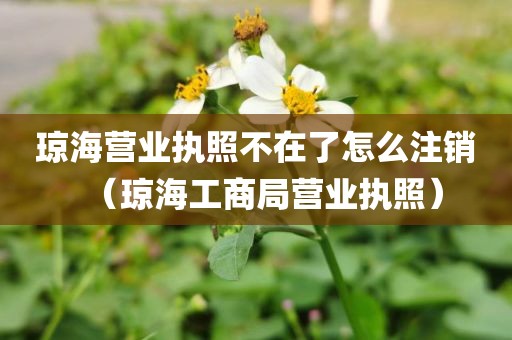琼海营业执照不在了怎么注销（琼海工商局营业执照）