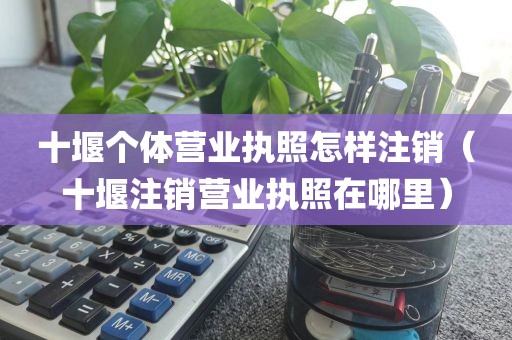 十堰个体营业执照怎样注销（十堰注销营业执照在哪里）