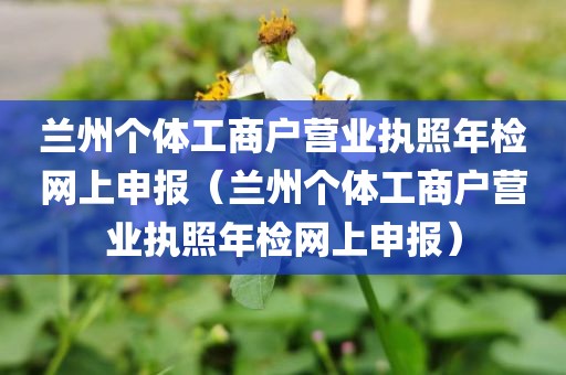 兰州个体工商户营业执照年检网上申报（兰州个体工商户营业执照年检网上申报）