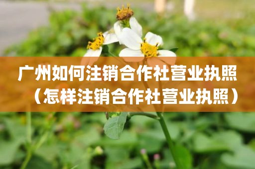 广州如何注销合作社营业执照（怎样注销合作社营业执照）