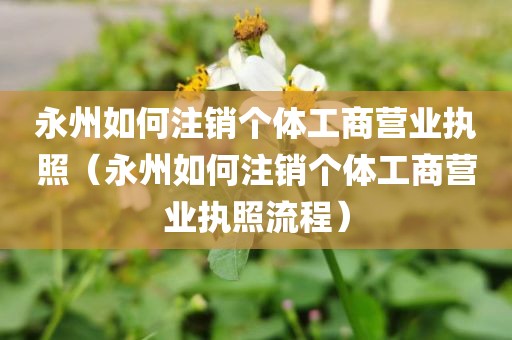 永州如何注销个体工商营业执照（永州如何注销个体工商营业执照流程）