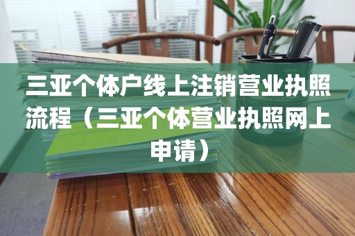 三亚个体户线上注销营业执照流程（三亚个体营业执照网上申请）