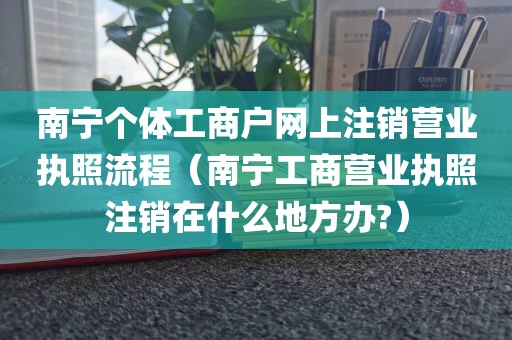 南宁个体工商户网上注销营业执照流程（南宁工商营业执照注销在什么地方办?）