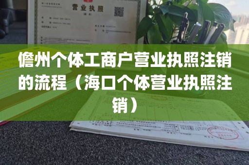 儋州个体工商户营业执照注销的流程(海口个体营业执照注销)