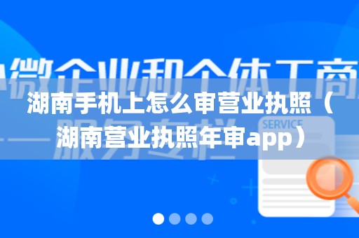 湖南手机上怎么审营业执照（湖南营业执照年审app）