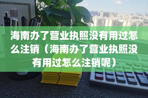 海南办了营业执照没有用过怎么注销（海南办了营业执照没有用过怎么注销呢）