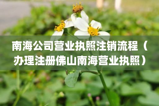 南海公司营业执照注销流程（办理注册佛山南海营业执照）