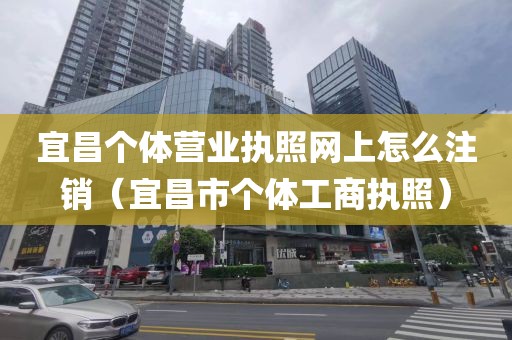 宜昌个体营业执照网上怎么注销（宜昌市个体工商执照）