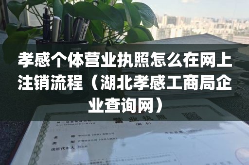 孝感个体营业执照怎么在网上注销流程（湖北孝感工商局企业查询网）