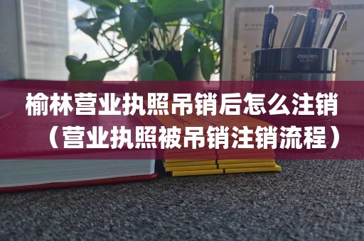 榆林营业执照吊销后怎么注销（营业执照被吊销注销流程）