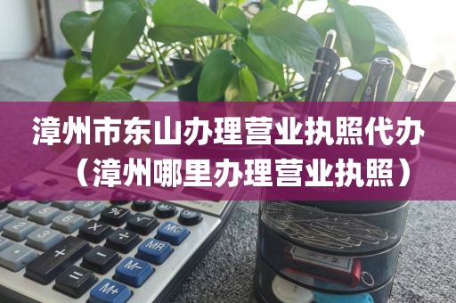 漳州市东山办理营业执照代办（漳州哪里办理营业执照）