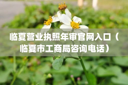 临夏营业执照年审官网入口（临夏市工商局咨询电话）