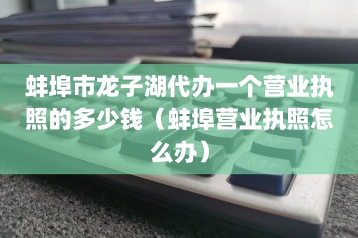 蚌埠市龙子湖代办一个营业执照的多少钱（蚌埠营业执照怎么办）