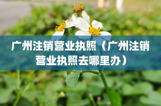 广州注销营业执照（广州注销营业执照去哪里办）