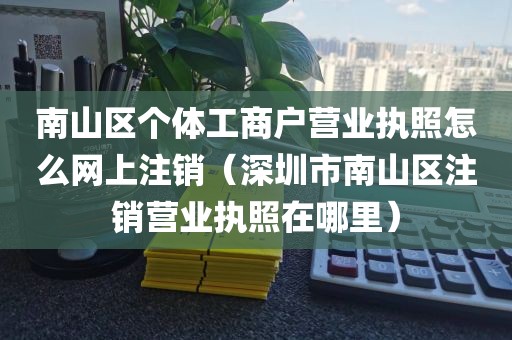 南山区个体工商户营业执照怎么网上注销（深圳市南山区注销营业执照在哪里）