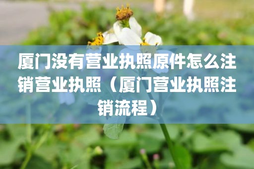 厦门没有营业执照原件怎么注销营业执照（厦门营业执照注销流程）