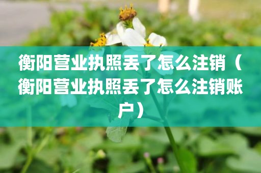衡阳营业执照丢了怎么注销(衡阳营业执照丢了怎么注销账户)