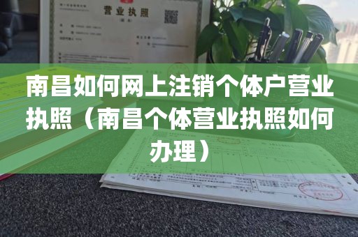 南昌如何网上注销个体户营业执照（南昌个体营业执照如何办理）