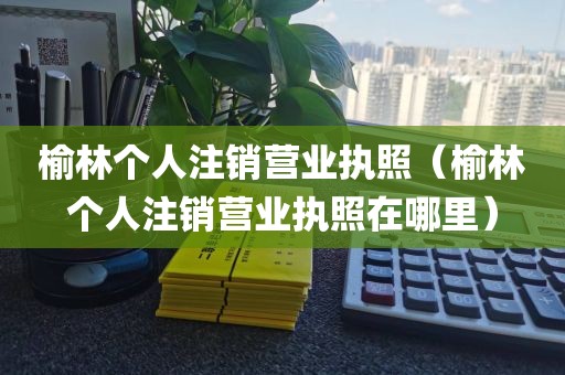 榆林个人注销营业执照（榆林个人注销营业执照在哪里）