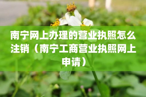 南宁网上办理的营业执照怎么注销（南宁工商营业执照网上申请）