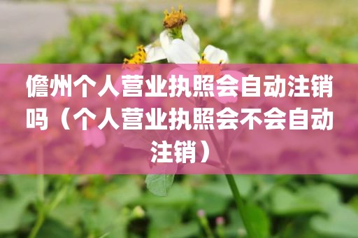 儋州个人营业执照会自动注销吗(个人营业执照会不会自动注销)